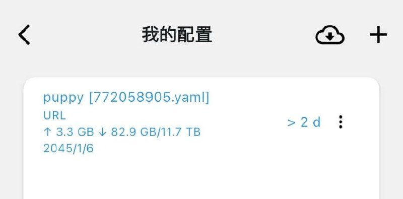 Clash Mi 我的配置列出一条 URL 配置，右上角有云下载和加号